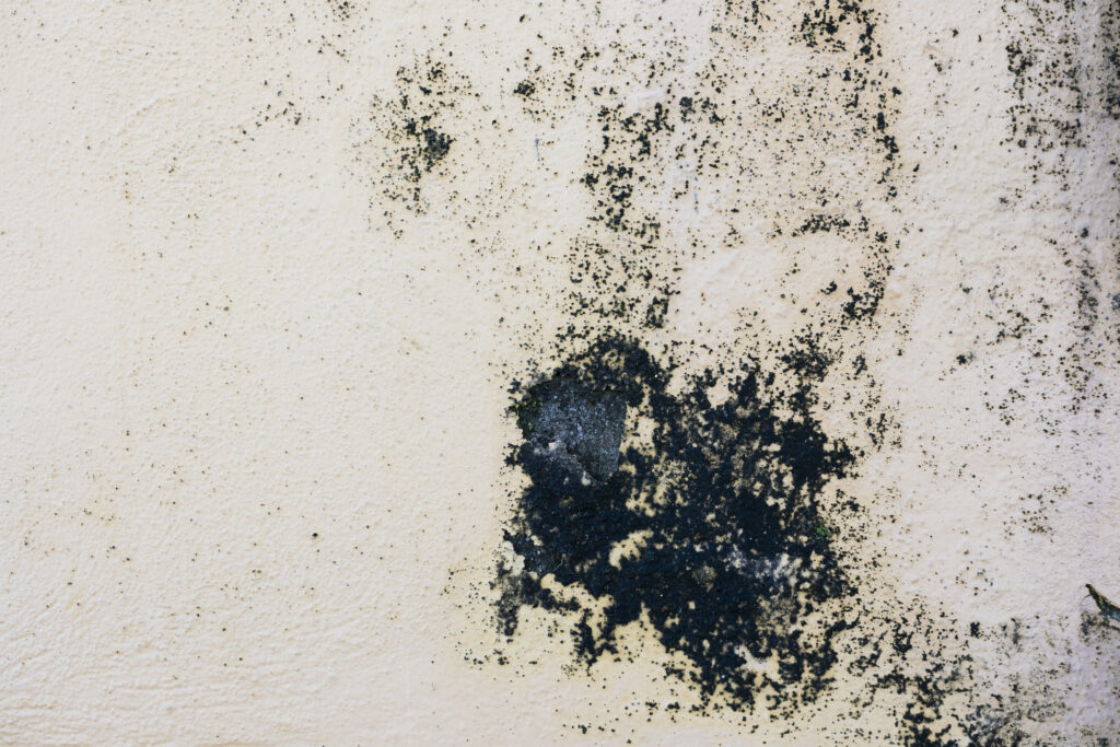 Warning signs of mold toxicity in toddlers